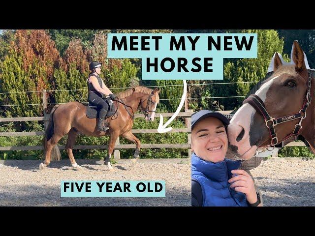 A New Chapter Begins - Meet My New Five Year Old Horse