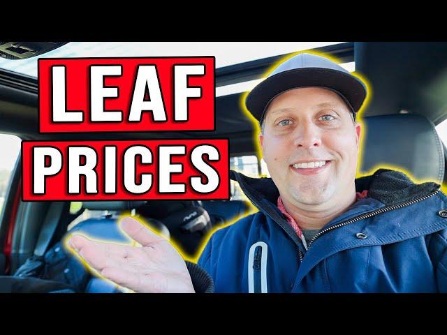 Fall Leaf Cleanup Tips To MAXIMIZE Profits!