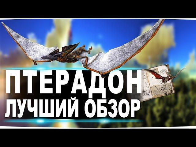 Птеранодон (Pteranodon) в АРК. Лучший обзор: приручение разведение и способности  птеродактиля в ark