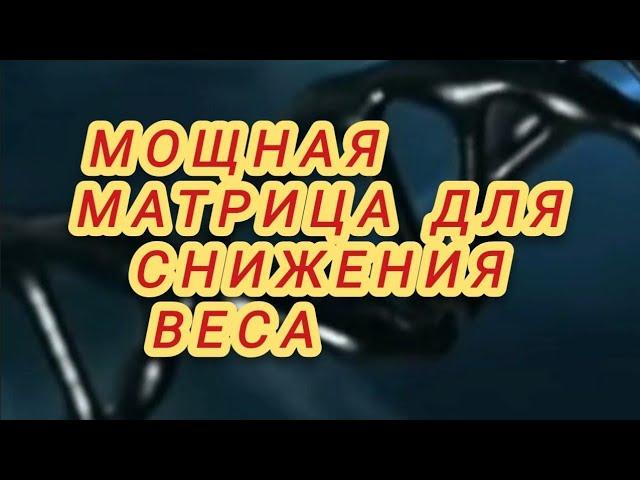 МОЩНАЯ МАТРИЦА ГАРЯЕВА для СНИЖЕНИЯ ВЕСА