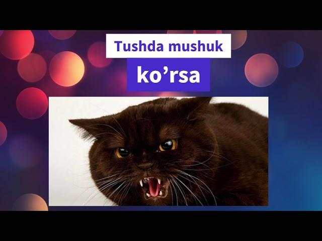 Tushda mushuk | Тушда мушук