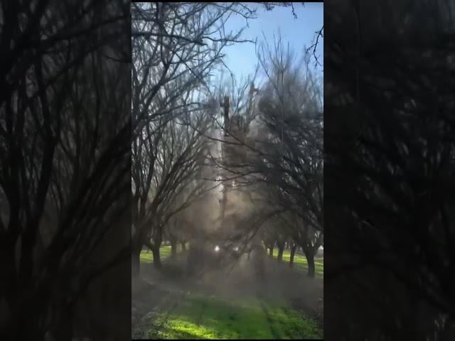  From Overgrown to Over-the-Top: Amazing Tree Trimming & Weeding Robots!