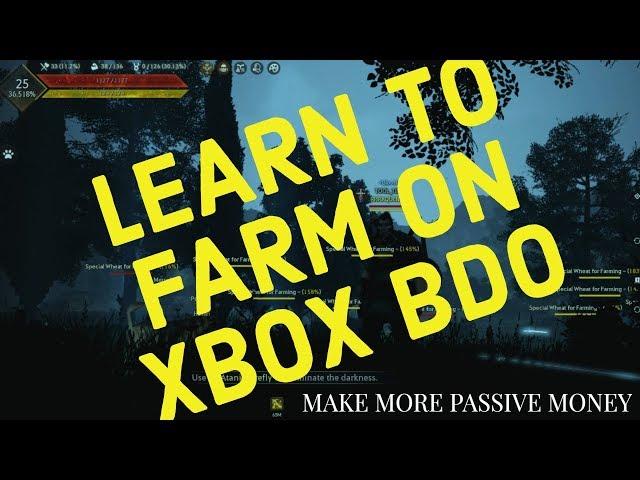 BDO XBOX FARMING GUIDE: MAKE MORE PASSIVE MONEY!