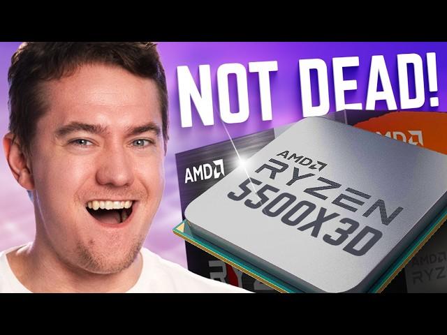 What Is AMD Doing?