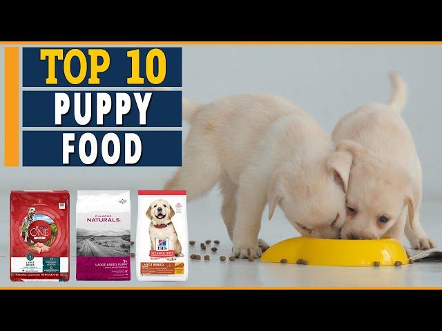 10 Best Puppy Foods | Ultimate Guide To 2021's  