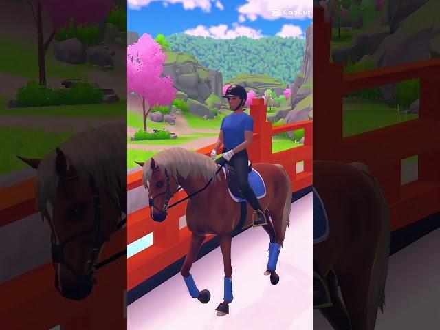 Lucky it does some bridge training #horse #equinegame #horseriding #horserides #horsefan