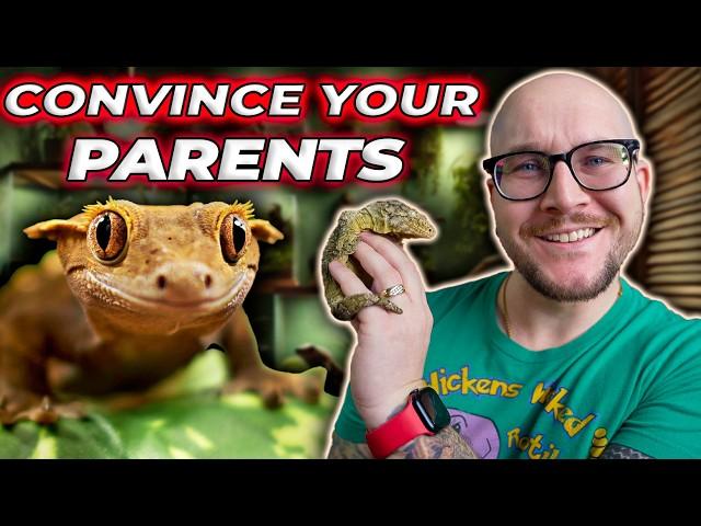 Convince Your Parents Or Spouse To Get a Pet Reptile!