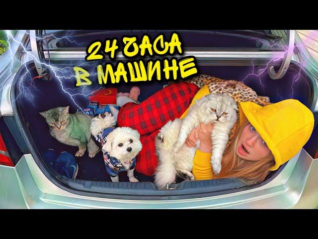 24 часа В МАШИНЕ С КОТАМИ в ГРОЗУ! ЗАГЛОХЛИ БЕЗ БЕНЗИНА!
