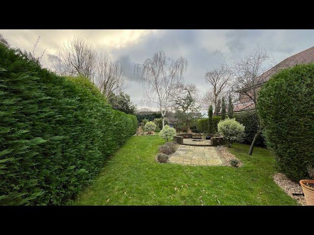 Tidying this Homeowner’s nice Backyard