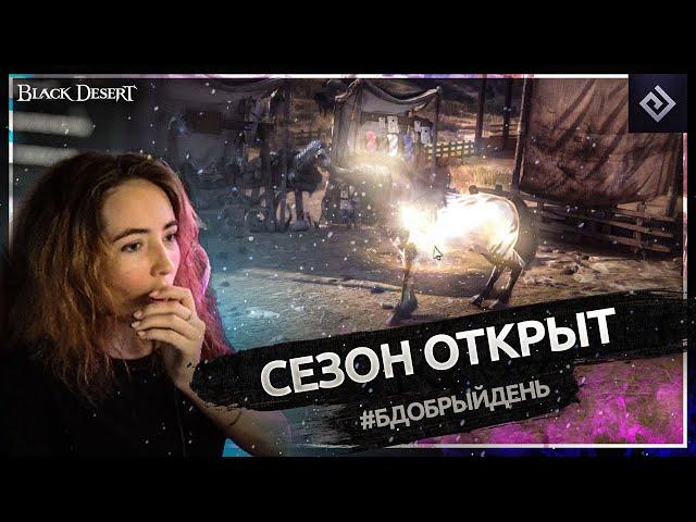 Сезон открыт | #бдобрыйдень № 12 | Black Desert моменты