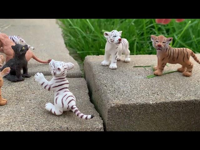 A Tiger story / Schleich ￼/