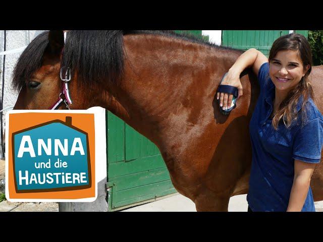 Anna lernt Reiten #1 | Die erste Reitstunde | Anna und die Haustiere