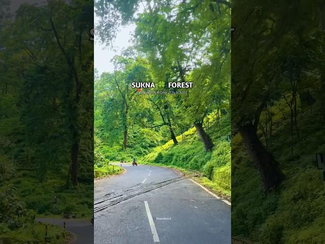 S U K N A  F O R R S T.      #siliguri #sukna #forest #travel #hills #shortsviral