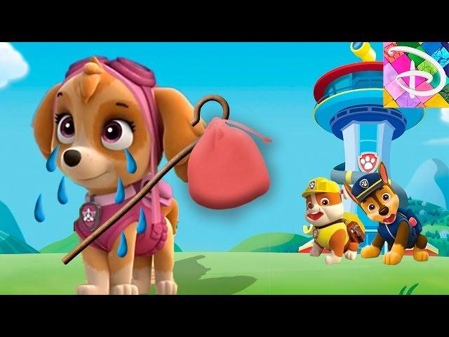 Paw Patrol Toys  Sky leaves the paw patrol