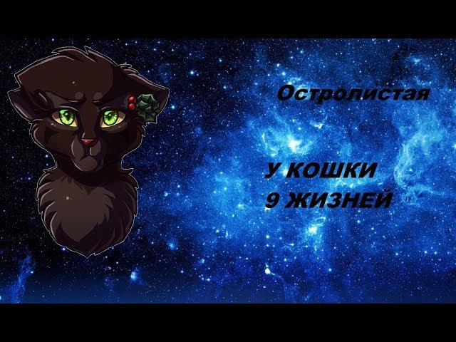 Остролистая-у кошки 9 жизней! Заказ Night Storm КВ! (Читать описание).