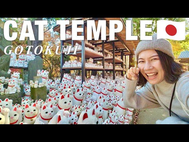 TOKYO 7 things to do around Gotokuji (Lucky cat temple) Autumn Leaves in Tokyo Japan travel vlog