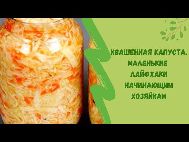 Квашенная капуста. Маленькие  лайфхаки  начинающим хозяйкам