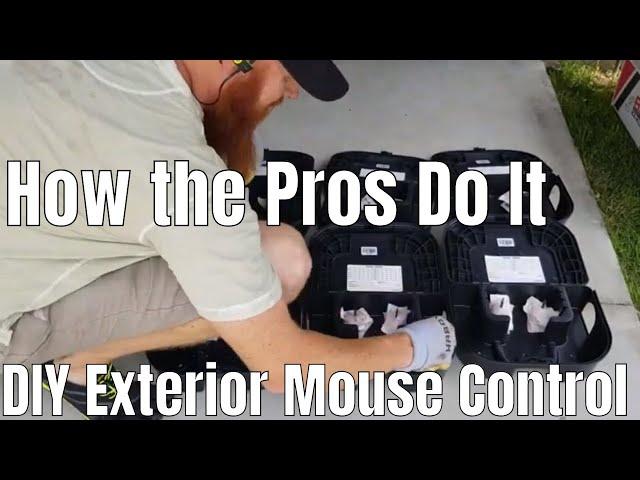 How to get rid of rats and mice- rodent control like the professionals