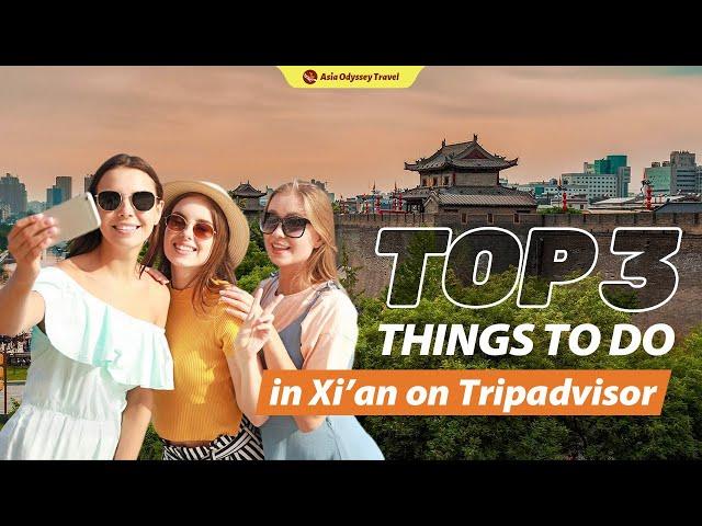 Xian Highlights Day Tour - Top 3 things to do in Xian on Tripadvisor