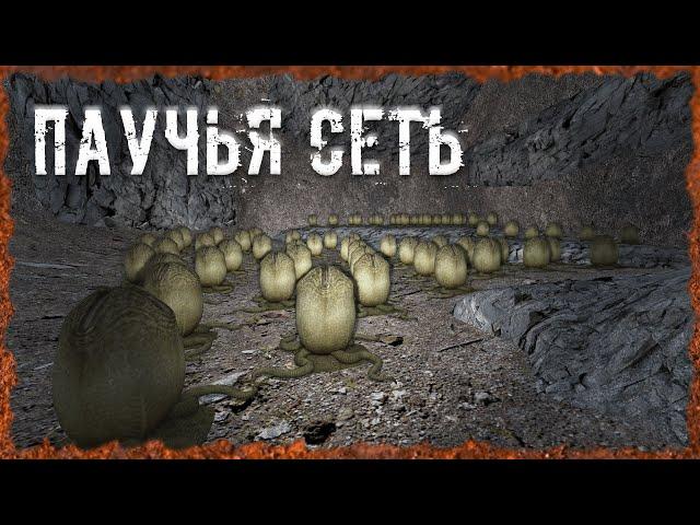 Паучья сеть S.T.A.L.K.E.R. ОП-2.2 Народная Солянка