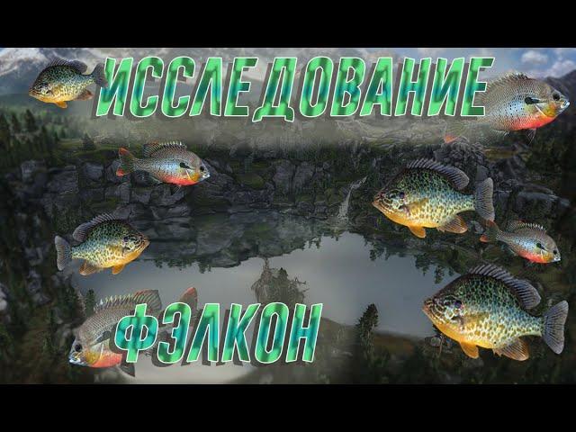 Fishing Planet PS 4 # Исследование Фэлкон / Миссии Fishing Planet