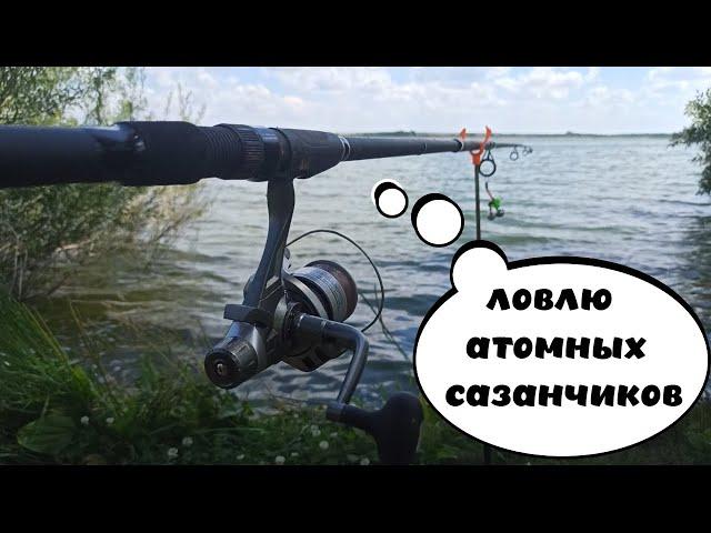 В погоне за АТОМНОЙ рыбкой! Ловлю диких сазанов на пруду-охладителе АЭС!