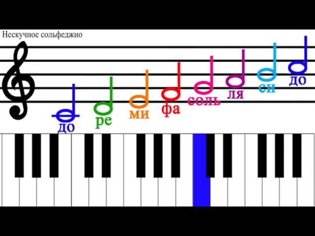 Гамма до мажор / gamma C Major. Нескучное сольфеджио / Funny solfege. Наше всё!