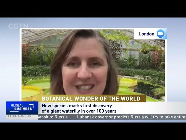 Botanical artist Lucy Smith joins CGTN Europe