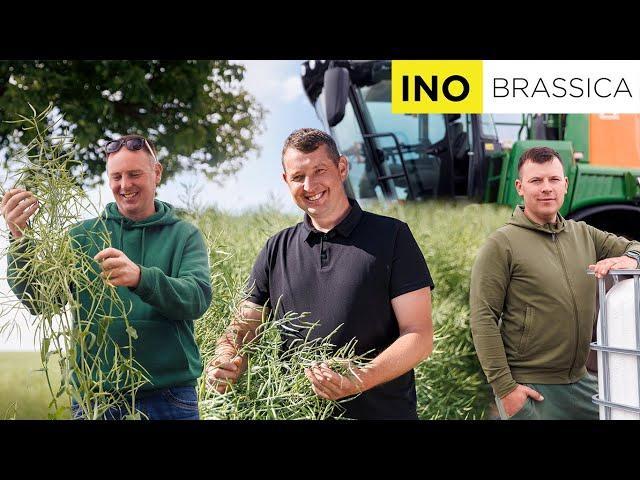 Ūkininkų patirtys apveliant ž. rapsų sėklą su INO BRASSICA | SCANDAGRA