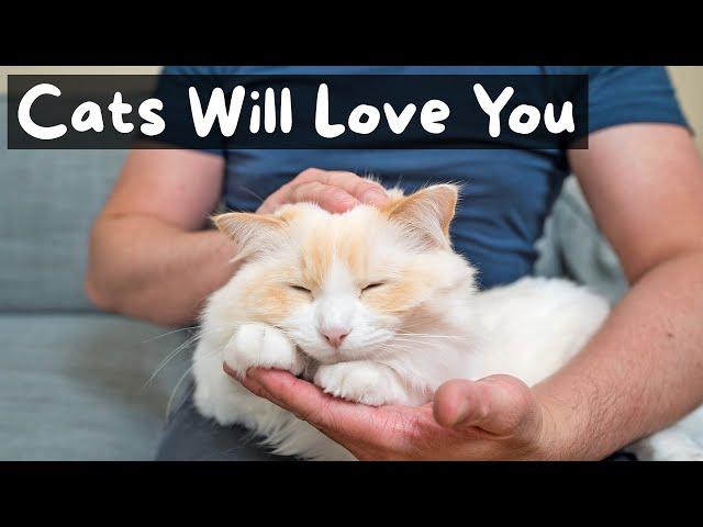 How to Give Your Cat a Relaxing Massage | The Cat Butler