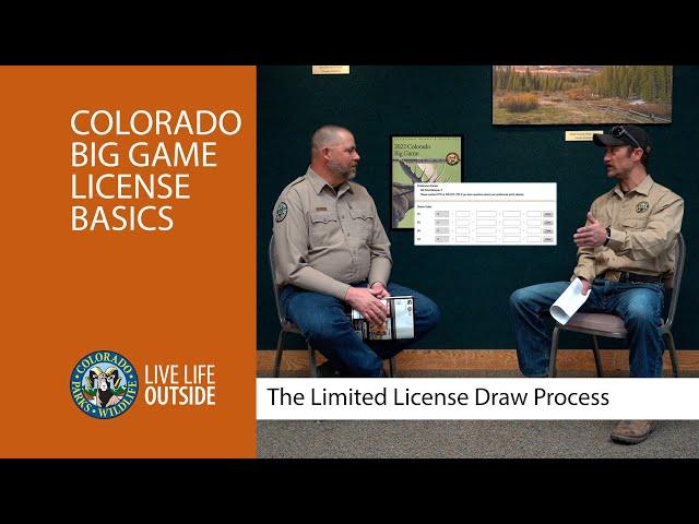 Colorado's Big Game License Basics: Limited License Draw Process