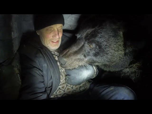 Вспомнили с медведицей детство.