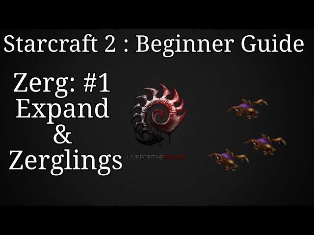 Starcraft 2 : Beginner Zerg Guide #1 : Expand and Zerglings