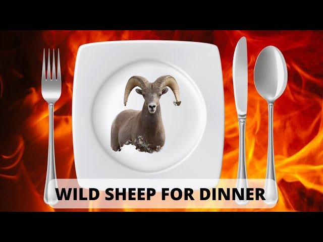 WILD SHEEP FOR DINNER $4500 A POUND