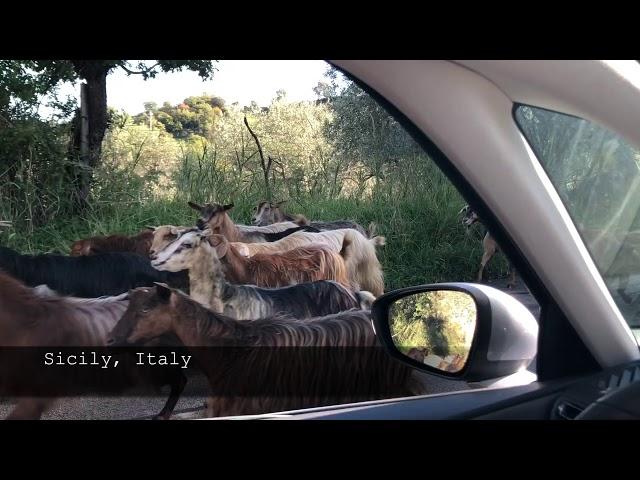 Book Trailer: The Forest Feast Mediterranean