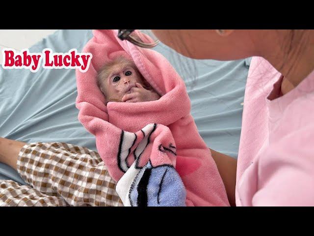 Lucky Is Pampered By Her Mother Like A Baby, What Makes Her So Excited?