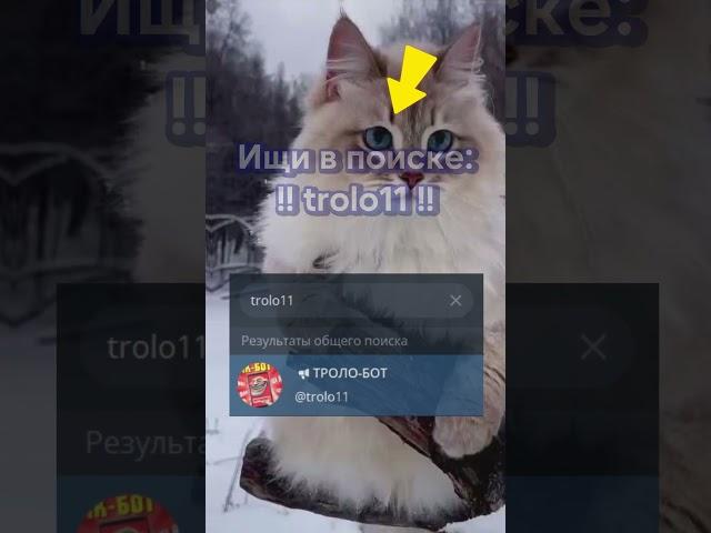 Пранк бот снова в деле #пранкбот #приколы #друзья #рек #шортс #хайп #школа #2024 #а4топ