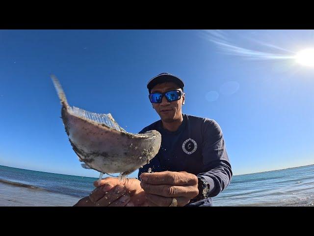 PERTH BEACH FISHING, Hundreds of CASTS to CATCH BIG FISH ( Perth Beach Fishing Reality )