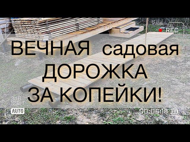 почти ВЕЧНАЯ садовая дорожка ЗА КОПЕЙКИ из дерева своими руками!