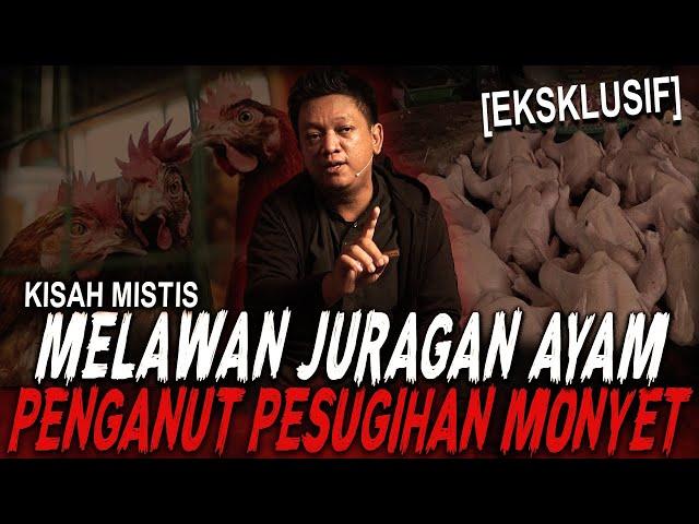 PAKE PESUGIHAN MONYET DI PASAR, PEDAGANG MISKIN INI JADI JURAGAN AYAM !! RUQYAH VS BOS DAGING