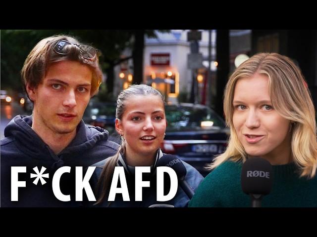 Alle AfD-Wähler sind N*zis?