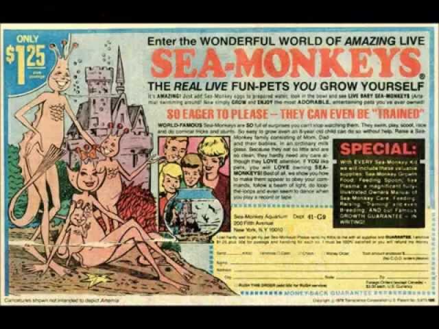 Sea Monkeys On Mars, Mating and Swimming