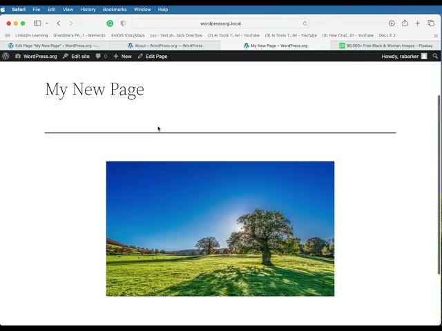 Insert an Image on a WordPress Page