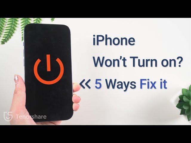 iPhone Won't Turn On? 5 Methods Including Free [100% Working]