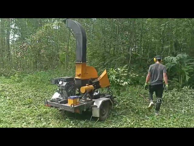 Измельчитель дерева, веток ЩДС-8 от ПромТехРесурс. Производство щепу, утилизация древесных отходов.