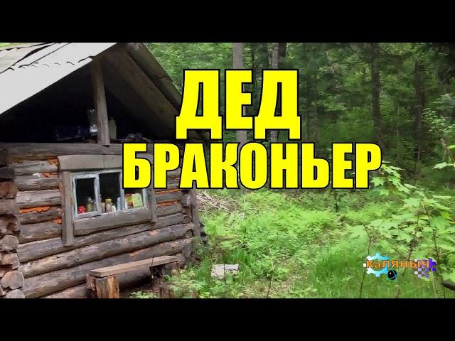 ДЕД БРАКОНЬЕР | ЖИЗНЬ ЗАСТАВИЛА | ЛОСЬ И ВЕРТОЛЁТ