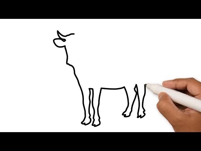 Корова.Как нарисовать корову / Cow. How to draw a cow