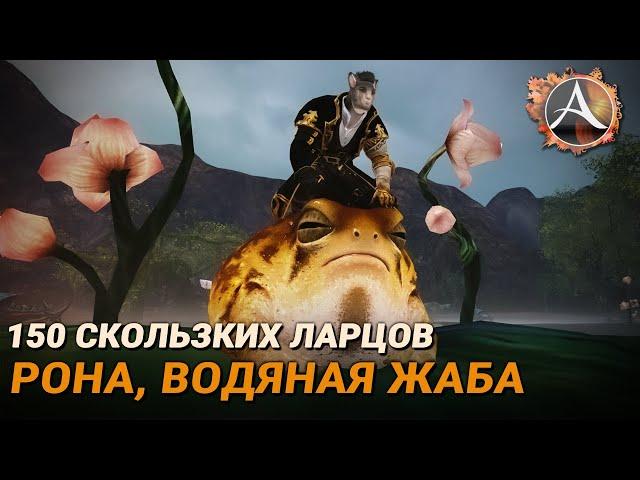 ArcheAge. 150 скользких ларцов + «Рона». Обзор жабы