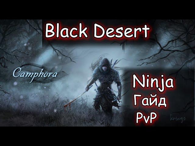 Black Desert Ниндзя - актуальный гайд