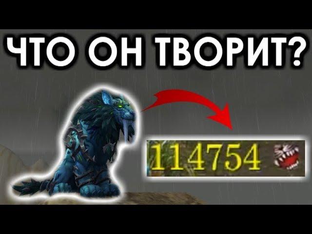 110к за УДАР на ФЕРАЛ ДРУИДЕ! КАК ТАК СДЕЛАТЬ?